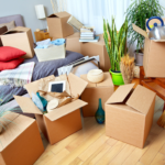 4 Additional Services That You Can Get From The Best Removalist Dolls Point