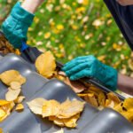 Impact of Gutter Cleaning on Mould Removal