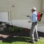 pest control in Fayetteville