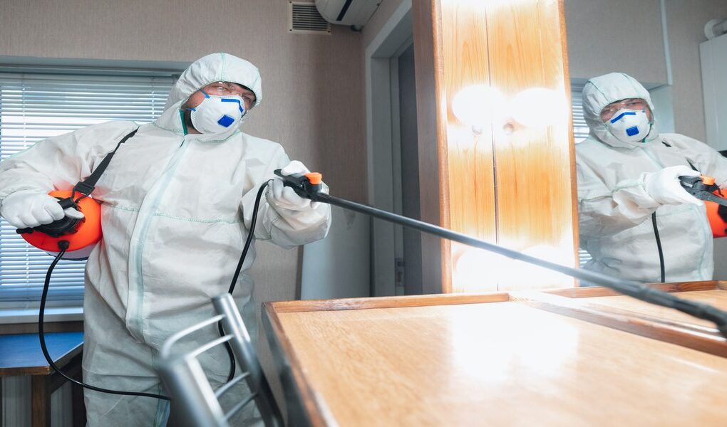 Real Pest Inspection