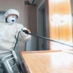 Real Pest Inspection