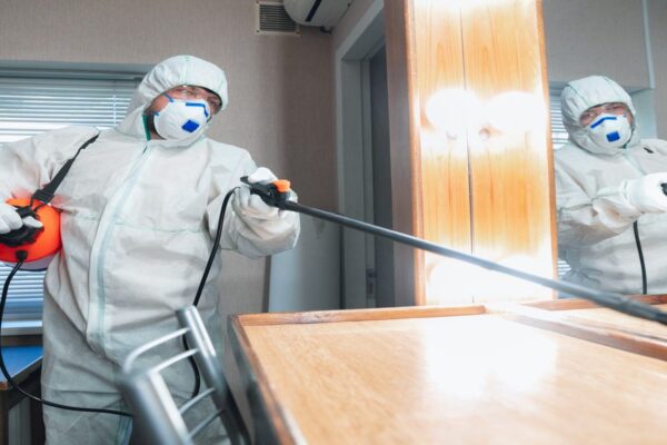 Real Pest Inspection