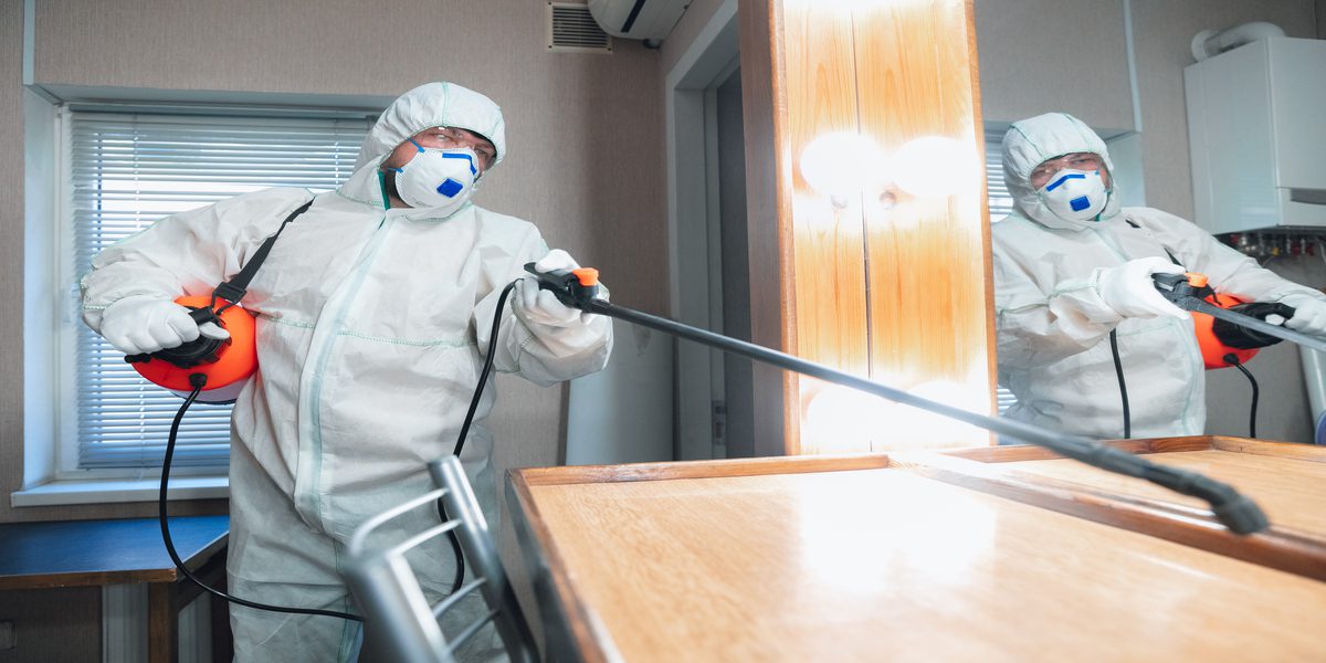 Real Pest Inspection